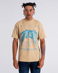 Camiseta Oversize Swallows In Flight